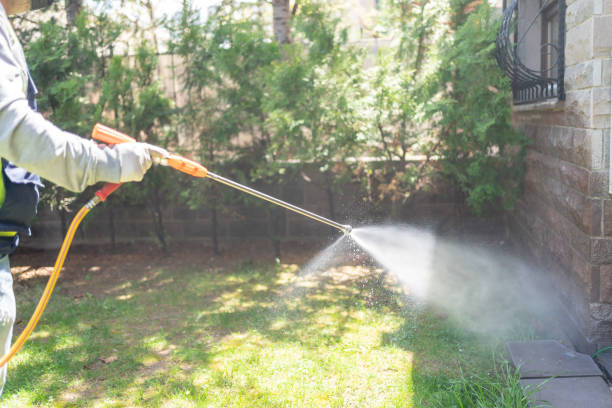 Best Flea Control Services  in Noroton, CT